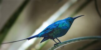 Czy żona może podpisać fakturę za męża?