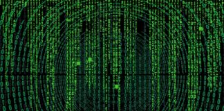 Jak często można zmieniać nazwę firmy?