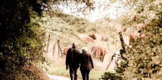 Czy bycie sołtysem wlicza się do emerytury?