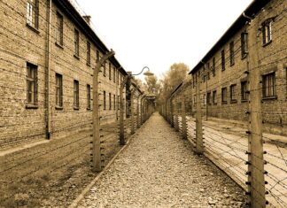 Ile ważyli Ludzie w Auschwitz?