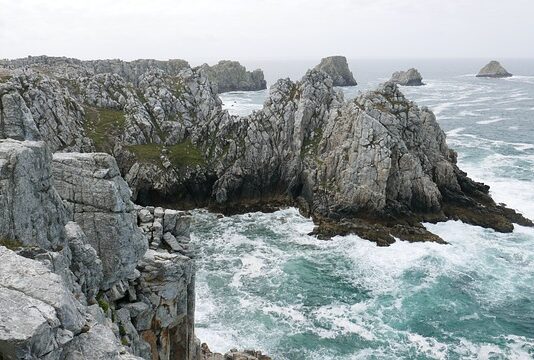 Jaka szkoła na celnika?
