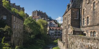 Co jest wyżej Dziekan czy rektor?