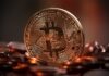 Jaką kryptowaluta na początek? Jaką kryptowaluta na początek?