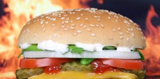 Ile zarabiają w Mc Donald?