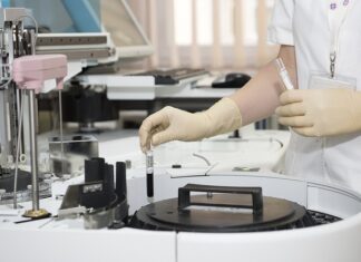 Czy właściciel spółki może być jej pracownikiem?