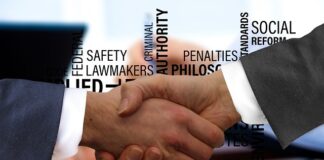 Kto odpowiada za podstawę programowa?