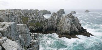 Ile zarabia celnik na początku?