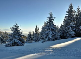 Kto składa SF do KAS?