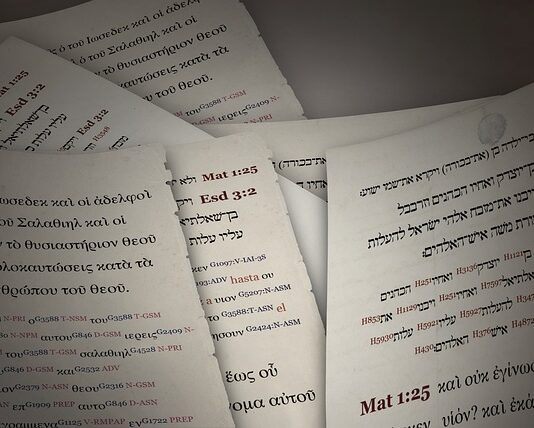 Która filologia jest najbardziej opłacalna?