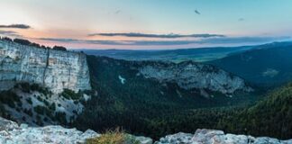 Jak udzielać pierwszej pomocy krok po kroku?