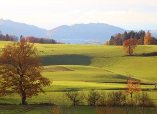 Ile to brutto 7000 netto?