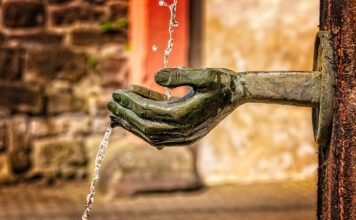 Na czym polega funkcja fiskalna budżetu państwa?