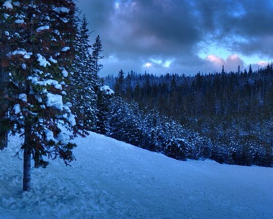 Czy po licencjacie z administracji można iść na pedagogikę?